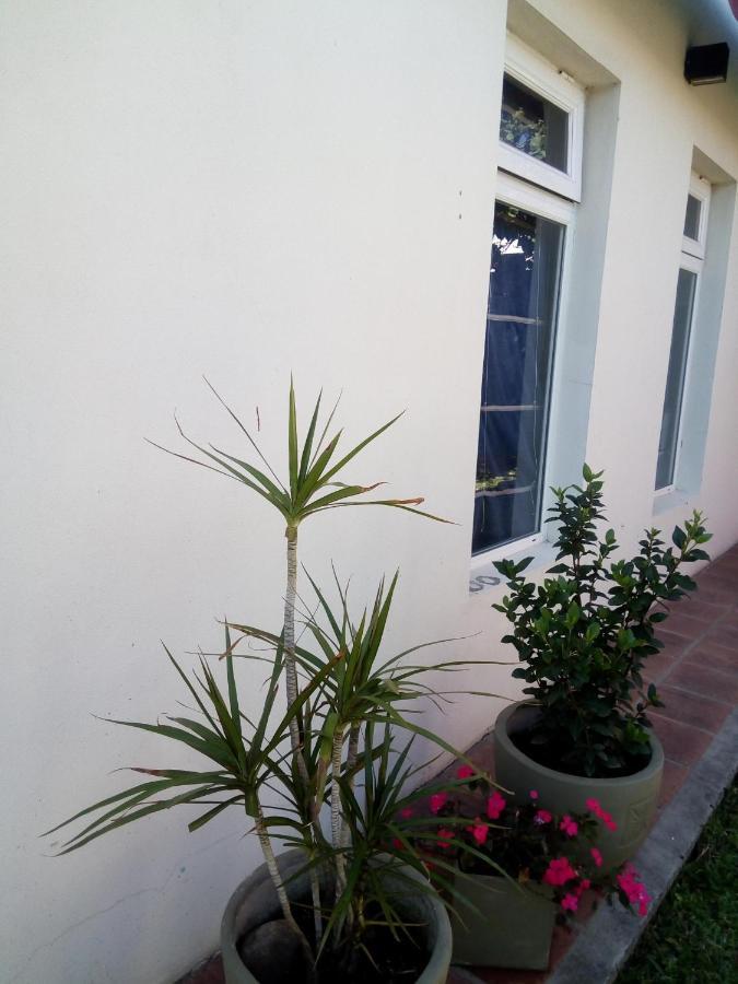 El Zohar 2 Pax Apartment Federacion Ngoại thất bức ảnh